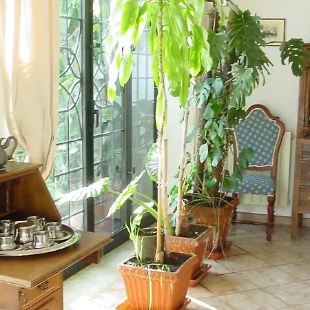 Cycas Villa *