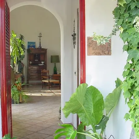Cycas Villa Gaeta