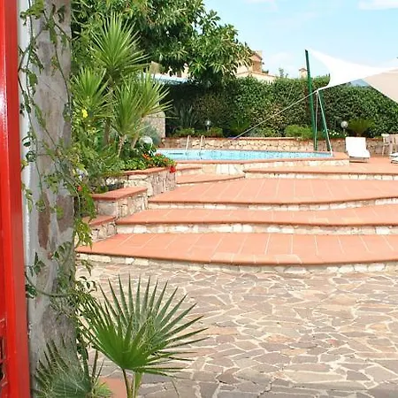 Cycas Gaeta