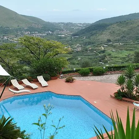 Cycas Villa