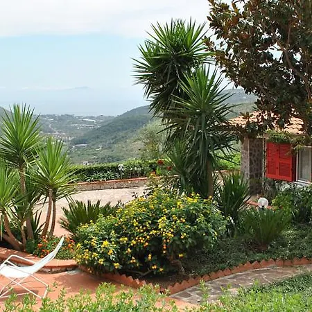Villa Cycas *