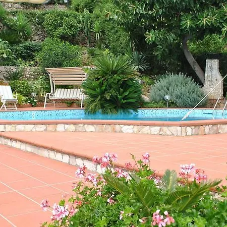 Cycas Villa *